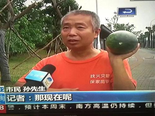 今日十大热点新闻吃瓜群众在线爆料免费观看 吃瓜前线第一人