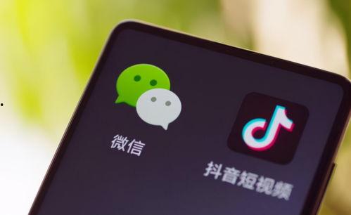 抖音爆料吃瓜观看在线 吃瓜网51官网版,揭秘51官网版吃瓜网热门事件