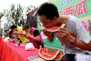 吃瓜网每日大赛,精彩对决，谁将脱颖而出？